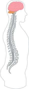 AID0046822